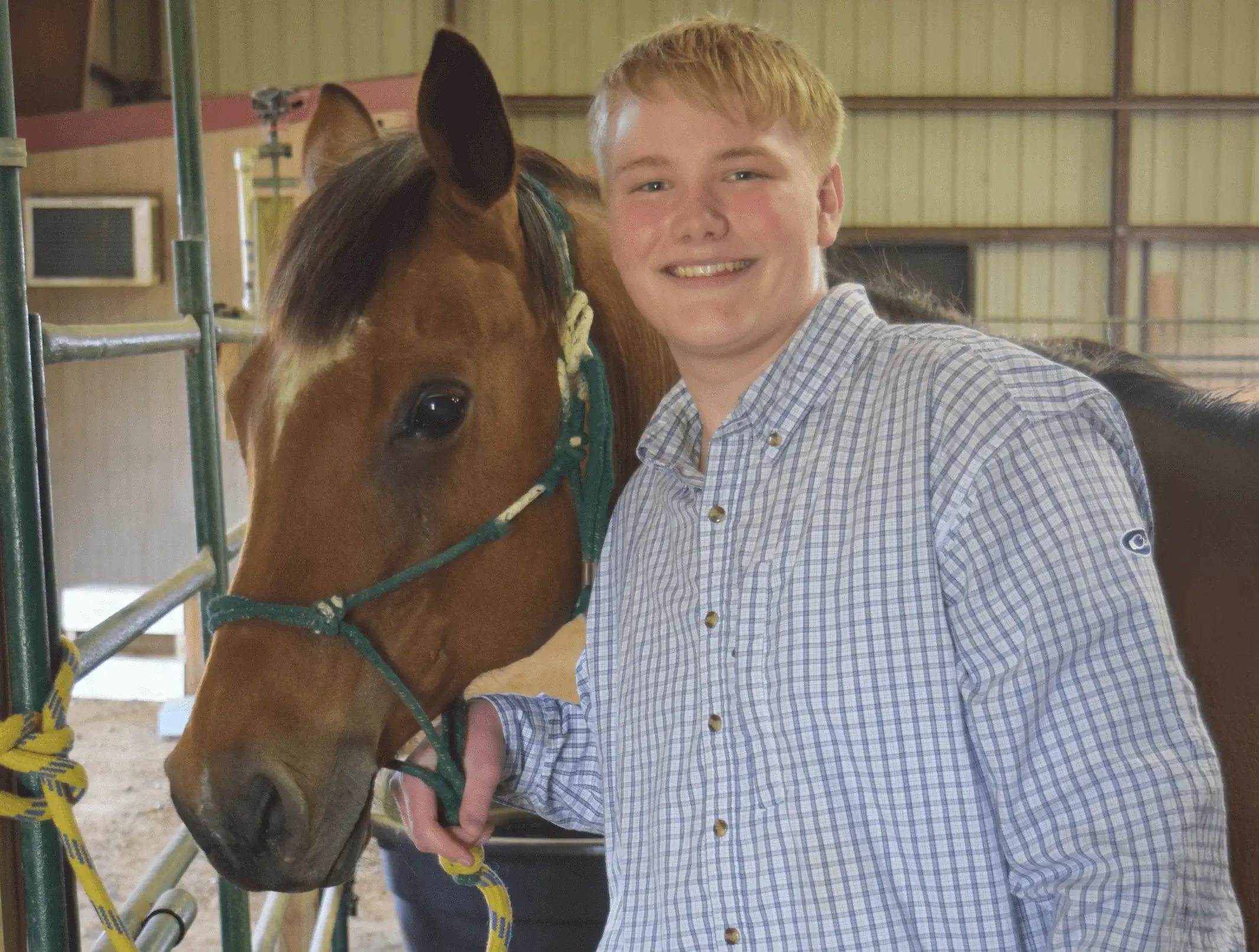Boy with Horse CH - Boy with Horse